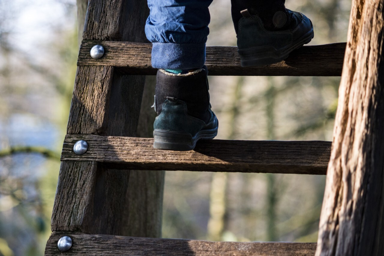 child climbs on ladder