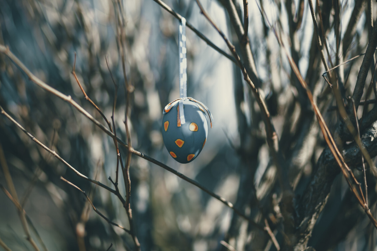 blue easter egg on a tree in spring