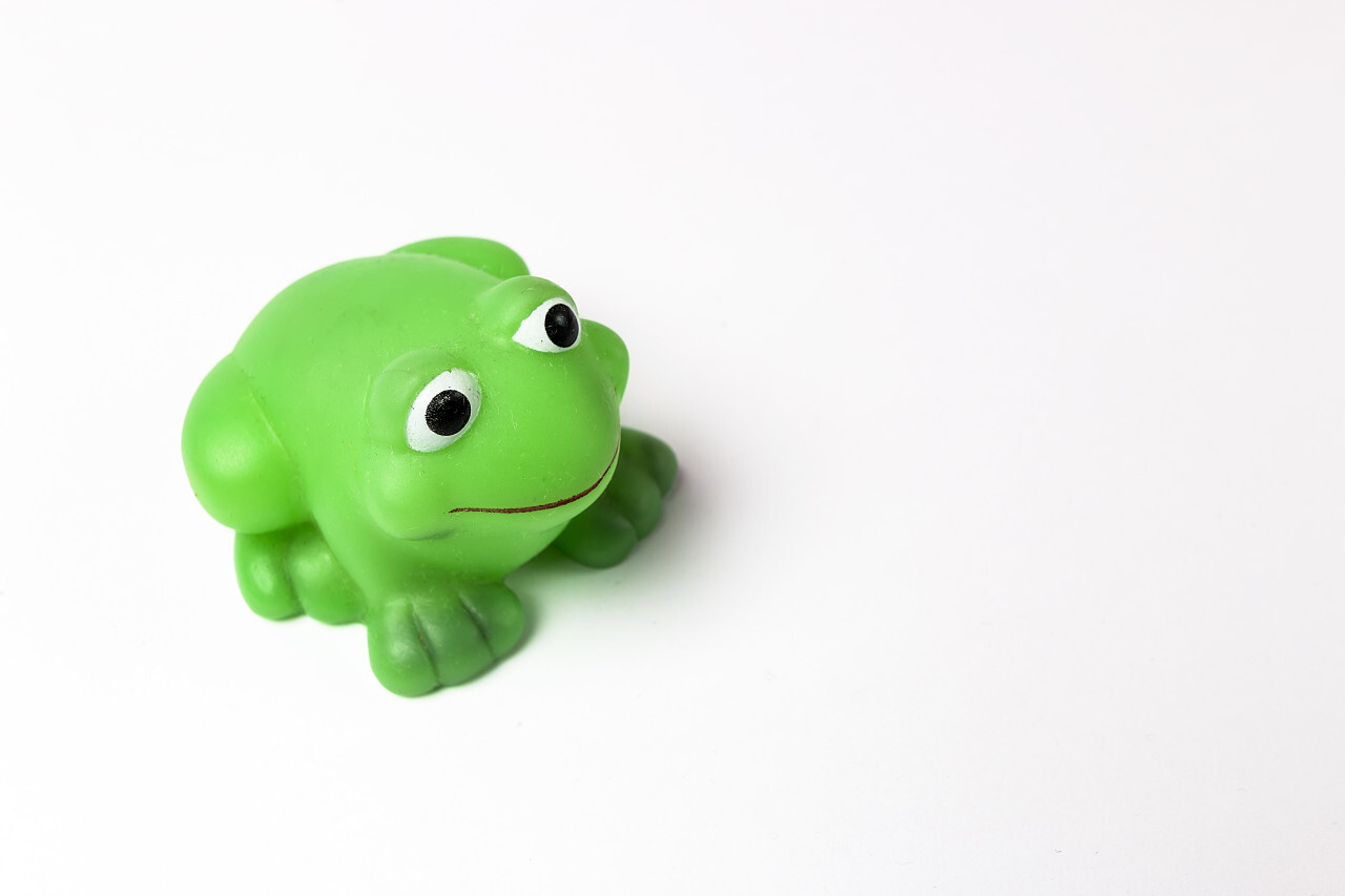 green toy frog white background