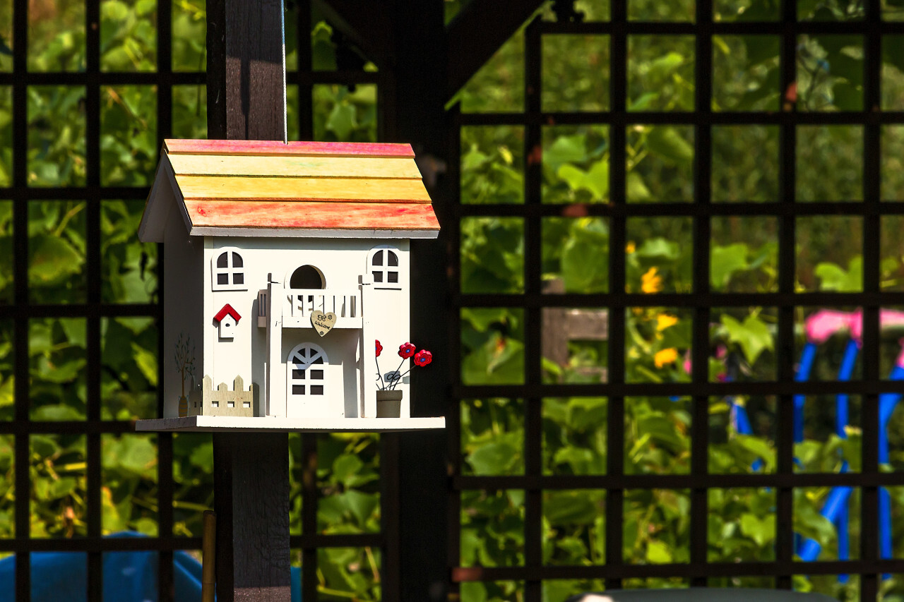 beautiful bird house with colorful roof