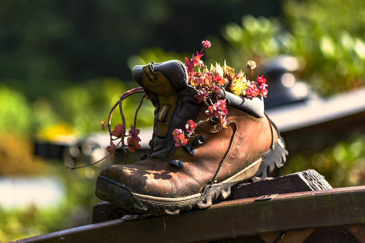 old shoe with flowers