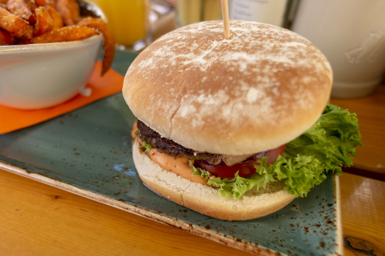 Burger and french fries