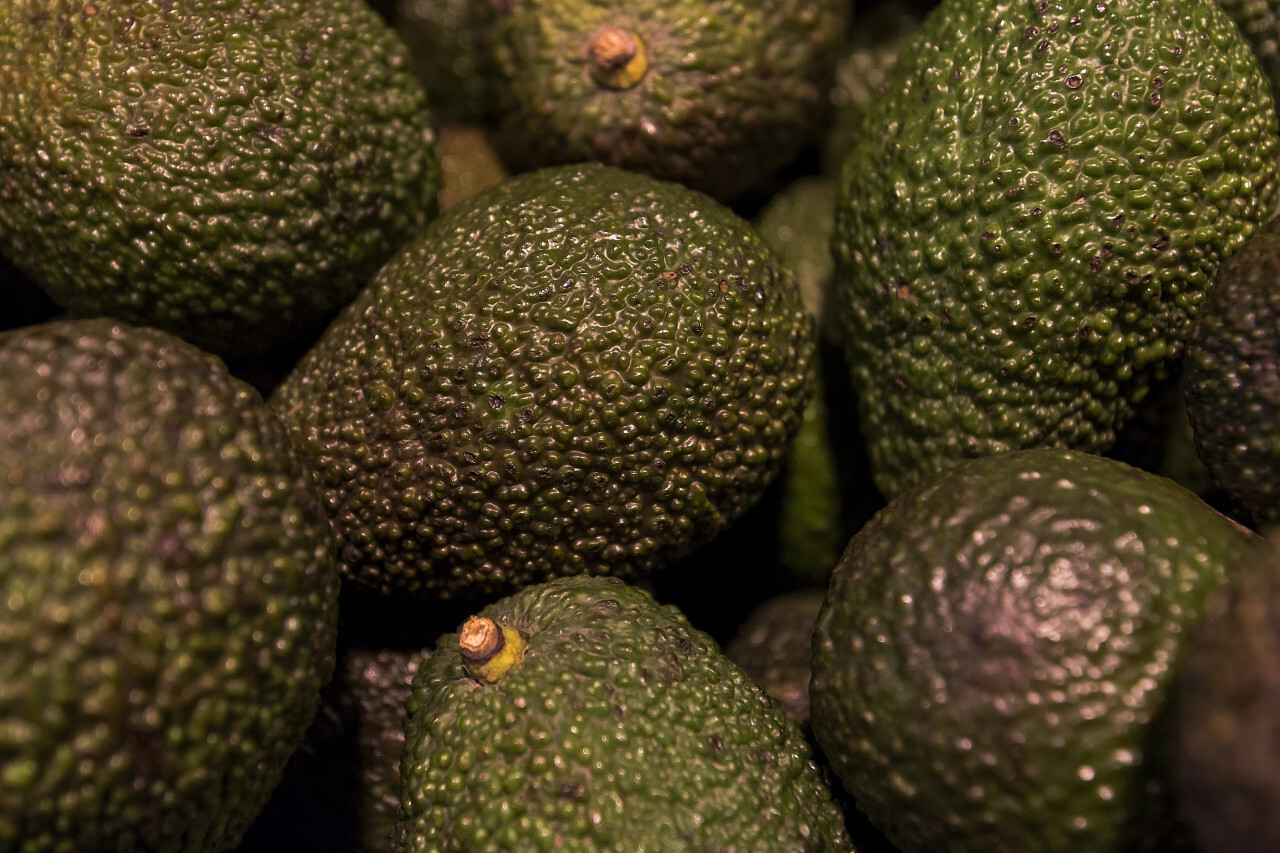 avocados in a market box