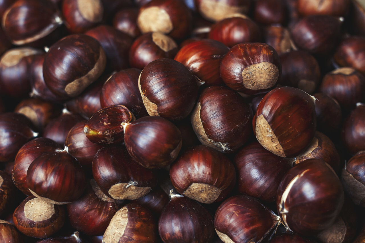 sweet chestnuts background