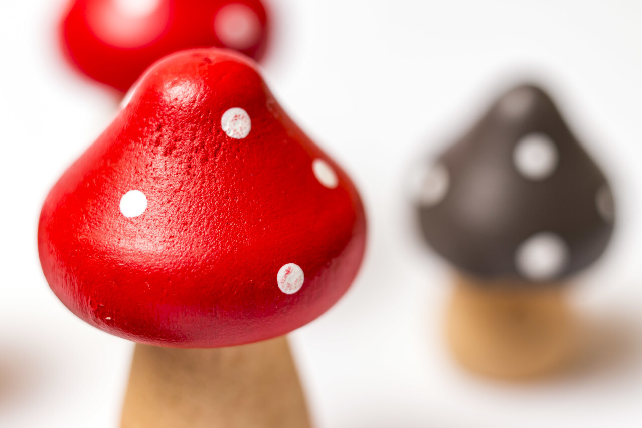 toadstools made of wood white background