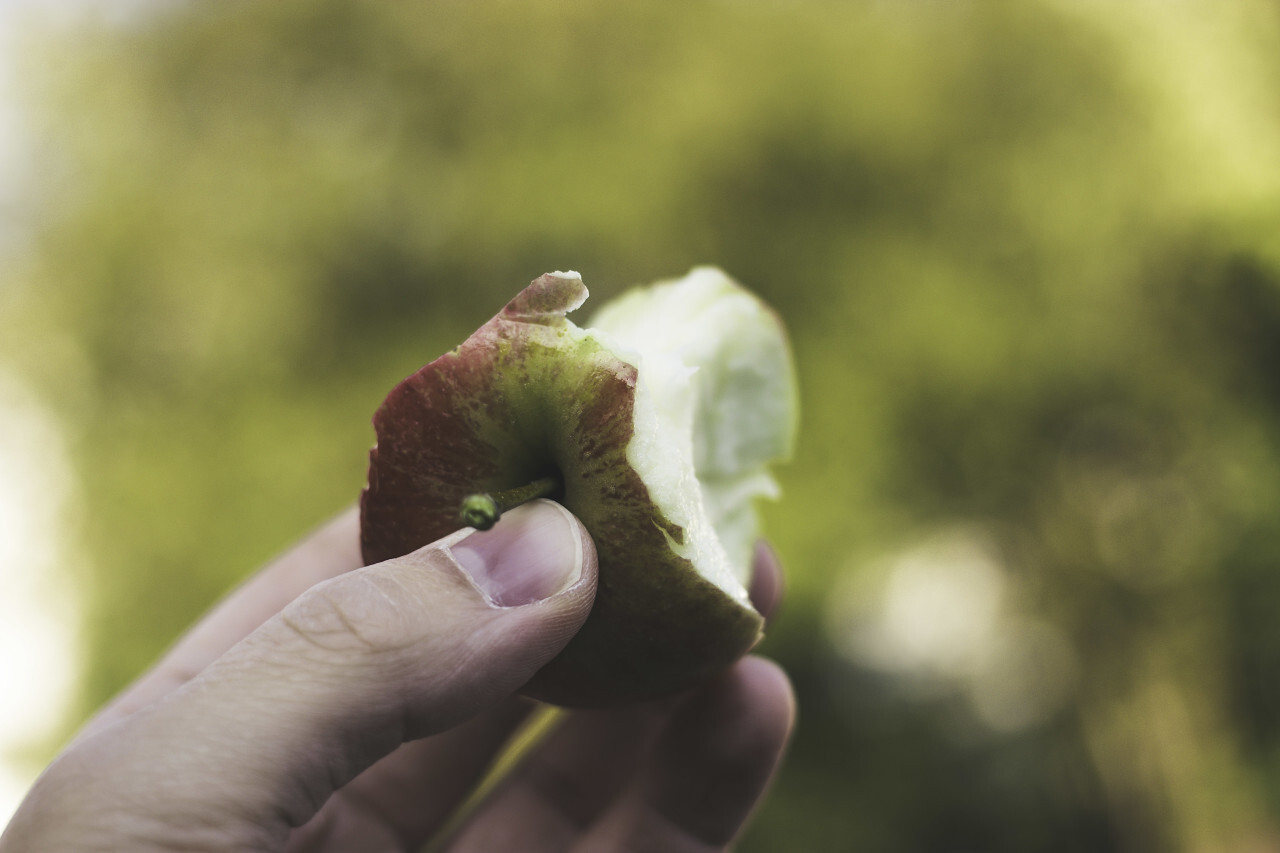 Bitten red apple in the hand