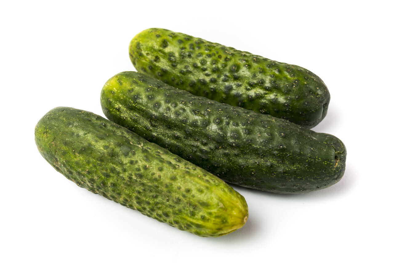 three gherkins white background