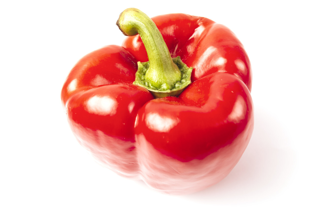 red sweet pepper on a white background