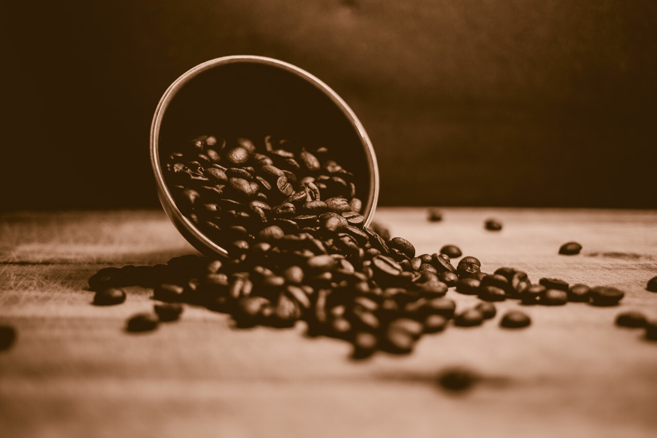 coffee beans in a cup