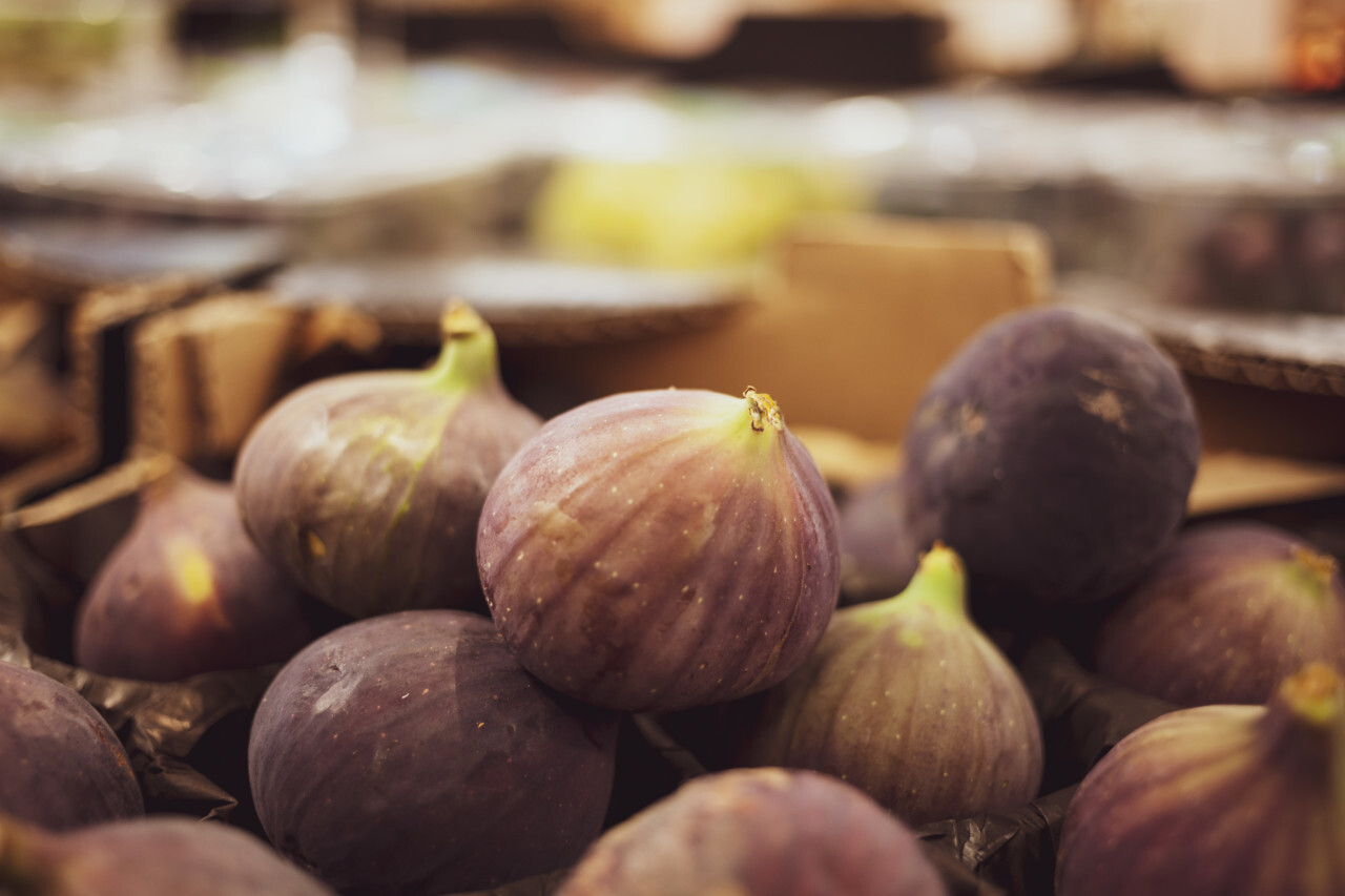 fresh figs on a market - fig fruits