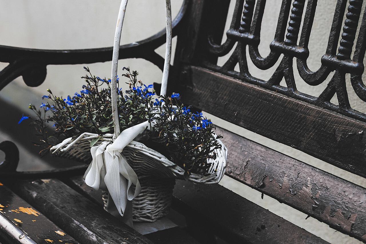 flower basket on park bench