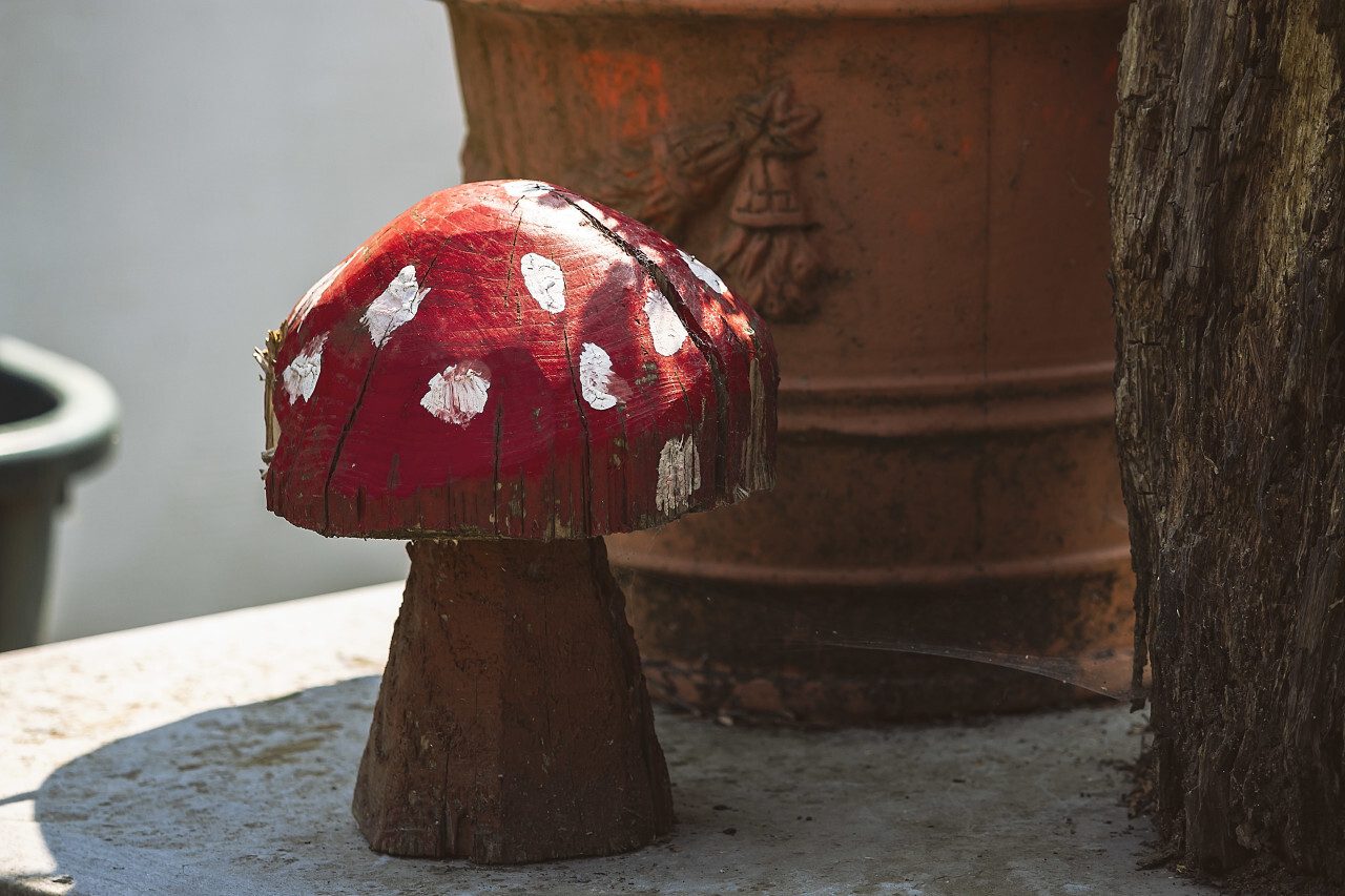 wooden fly agaric