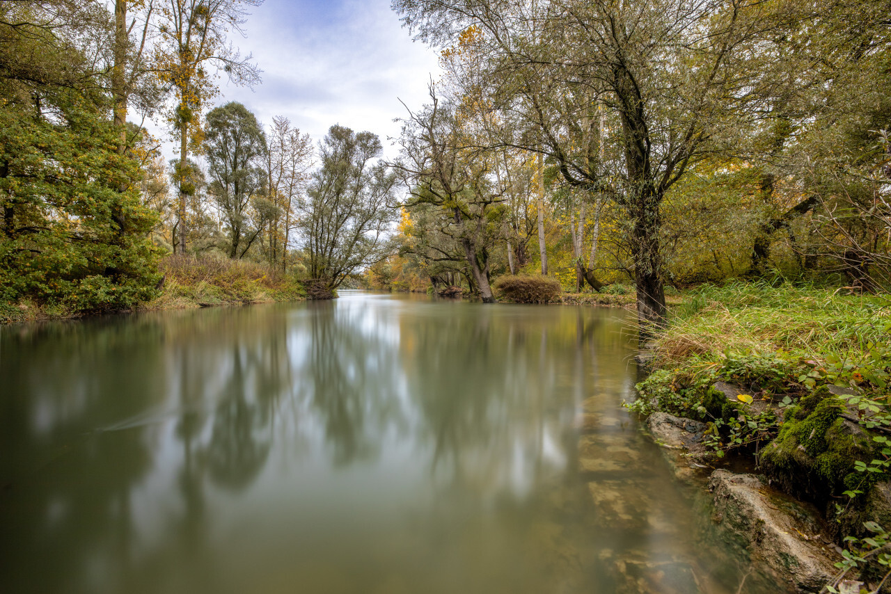 Altrhein Au am Rhein Lake in Germany