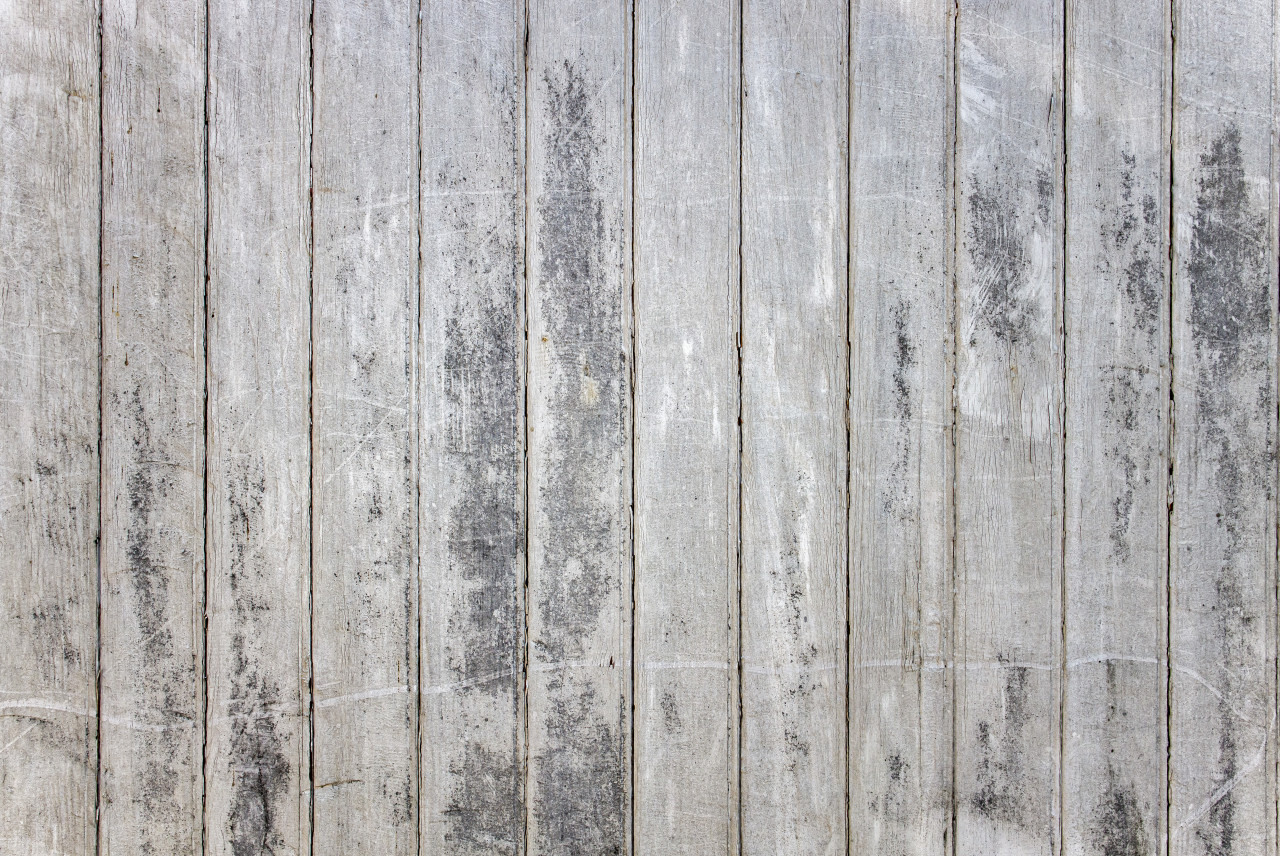 White wood texture background