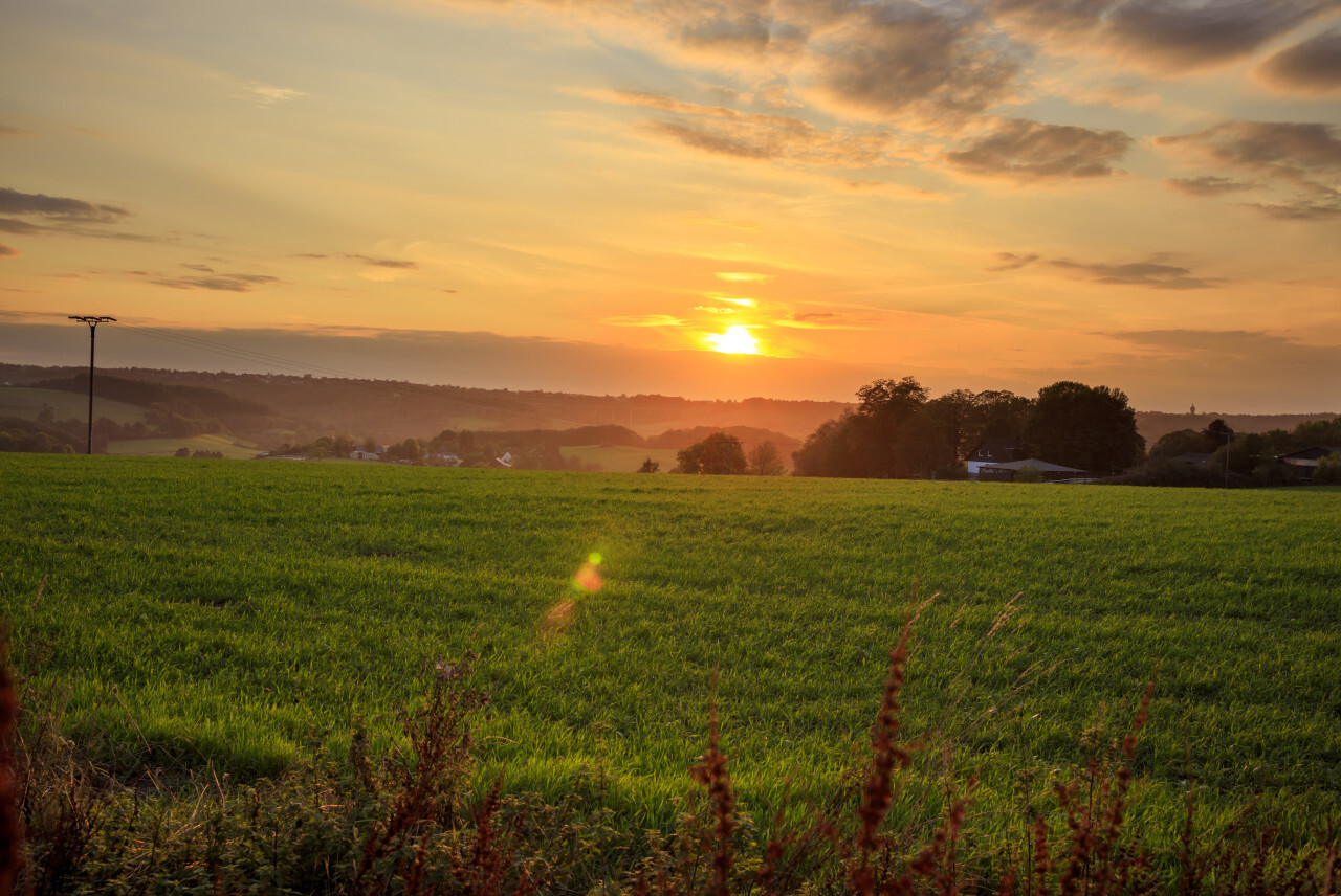 Sunset over a field