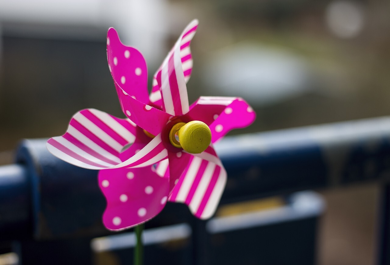 Pink toy pin wheel