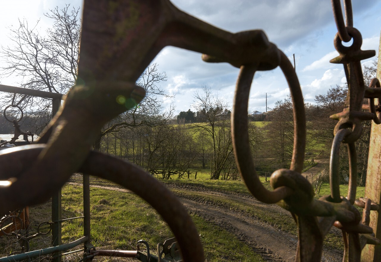 agriculture landscape