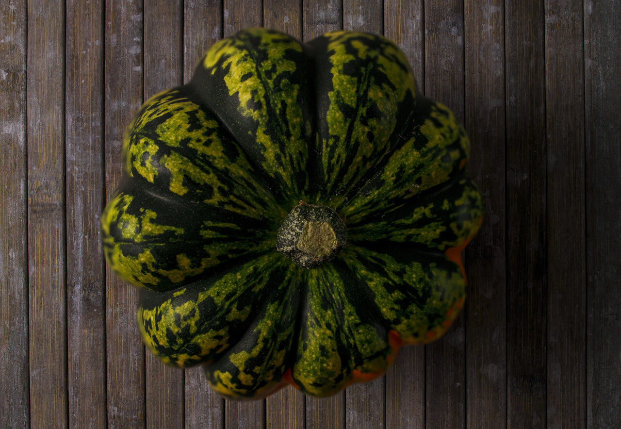 Autumn background with pumpkin
