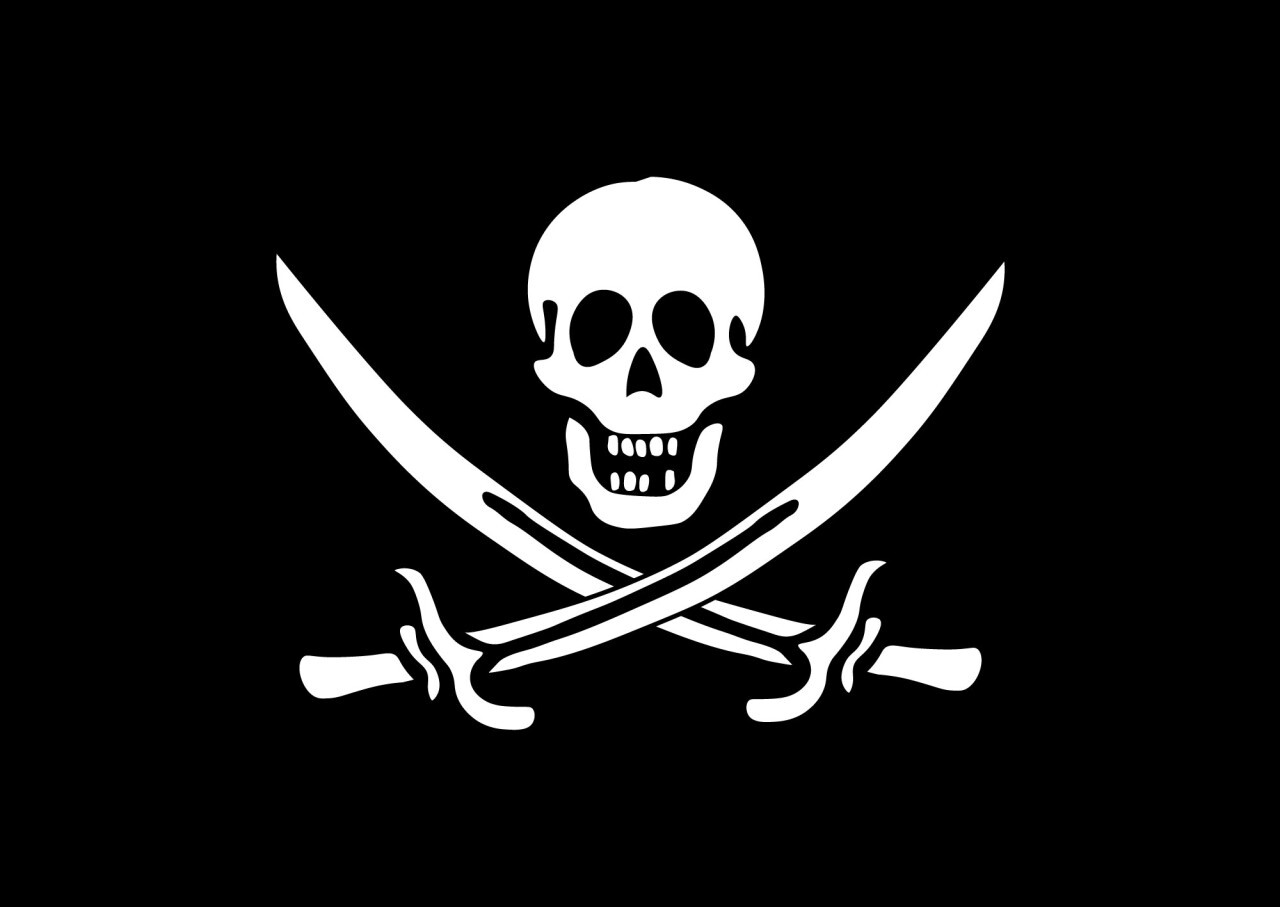 Pirate flag vector