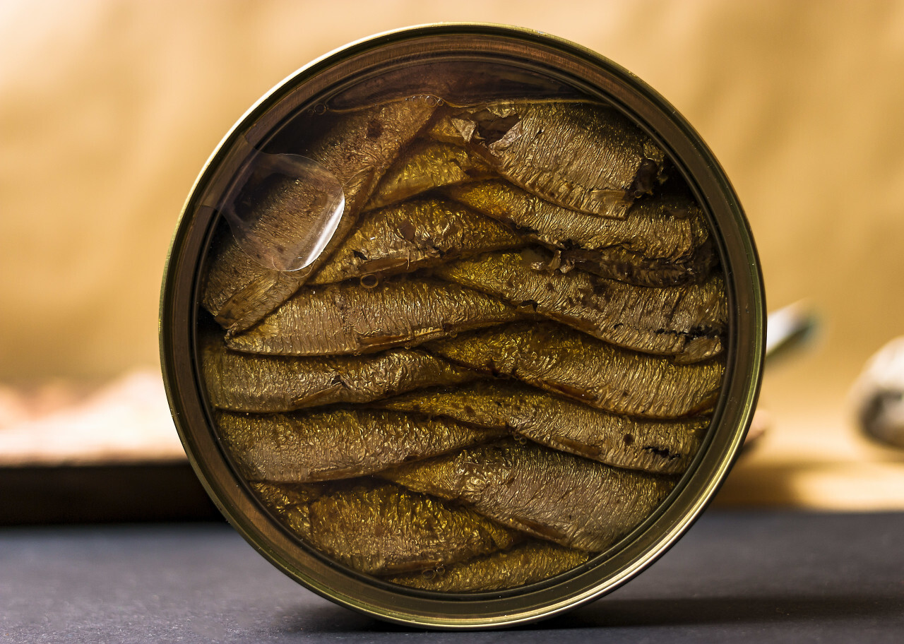 smoked sprats in tin