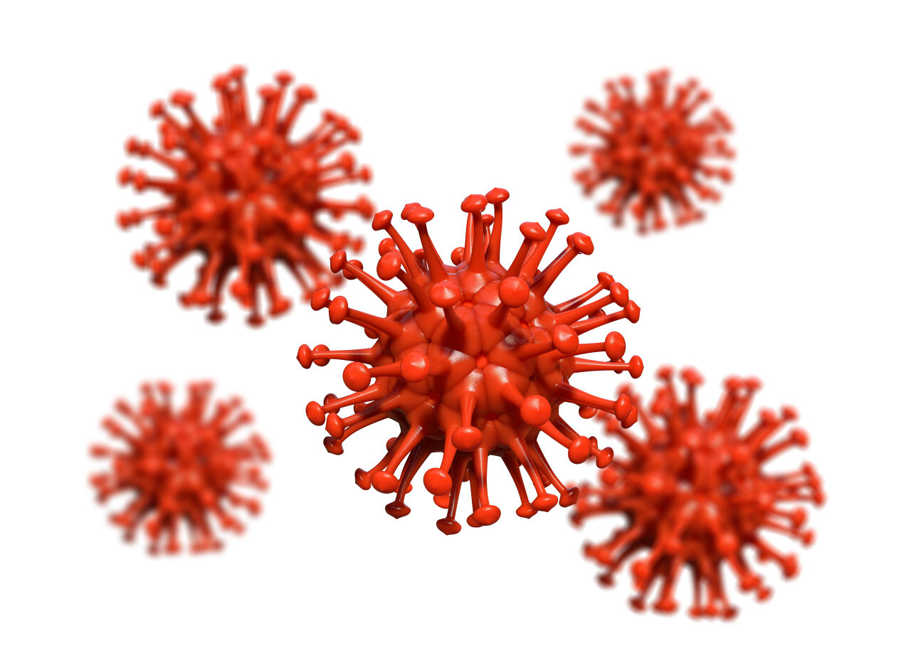 corona virus isolated on white background