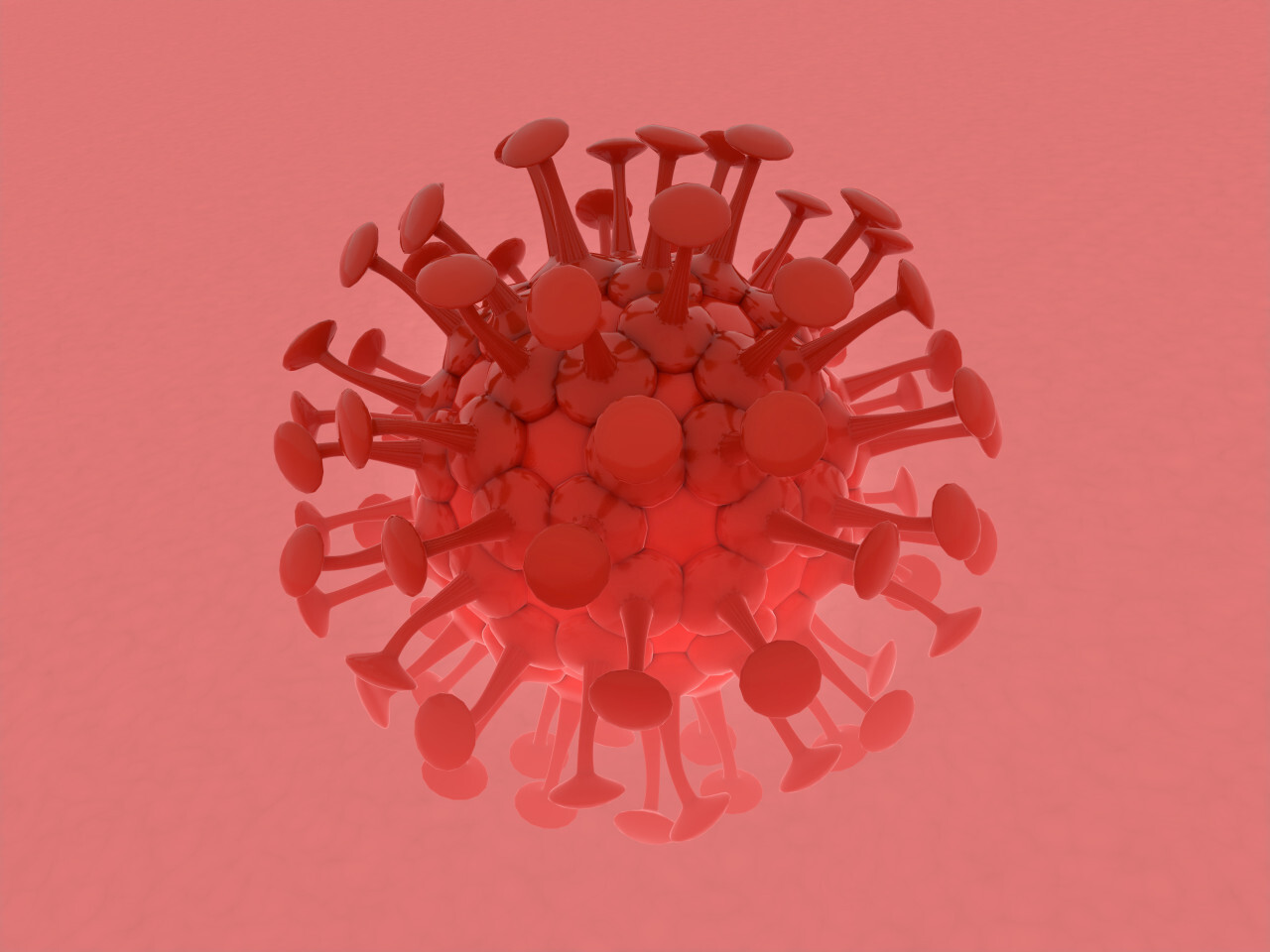 corona virus