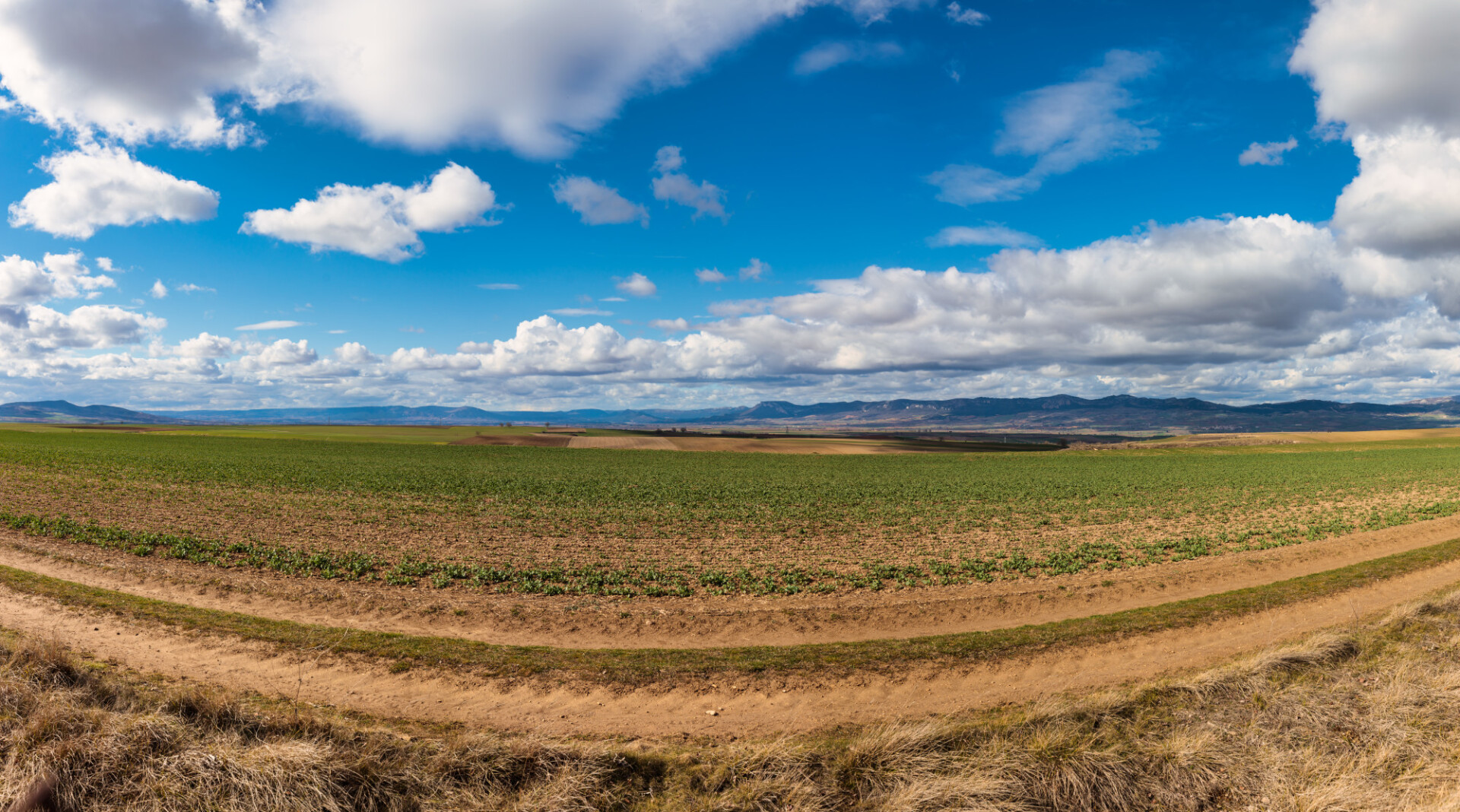 Rural landscape in Spain