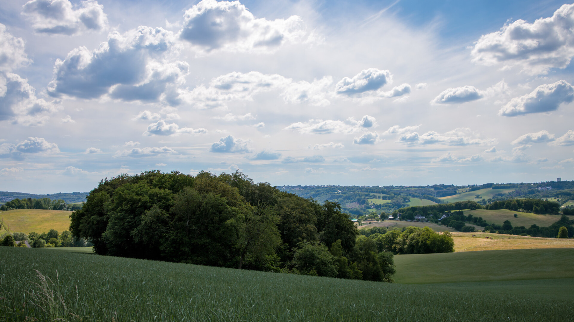 Rural Landscape