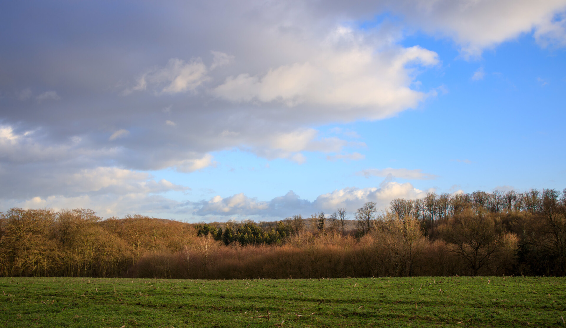 Field in front of a forest landscape in Germany