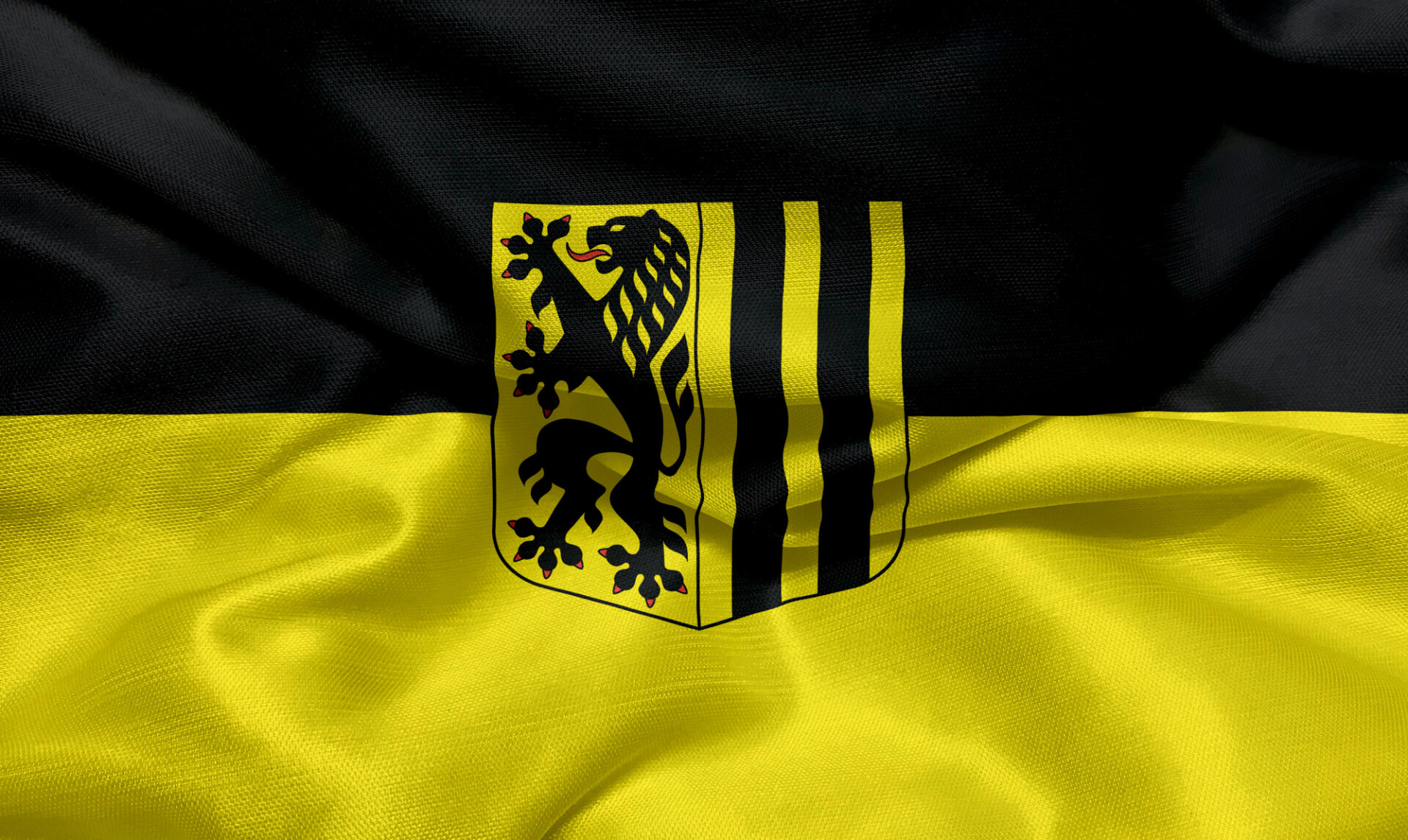 City flag of Dresden