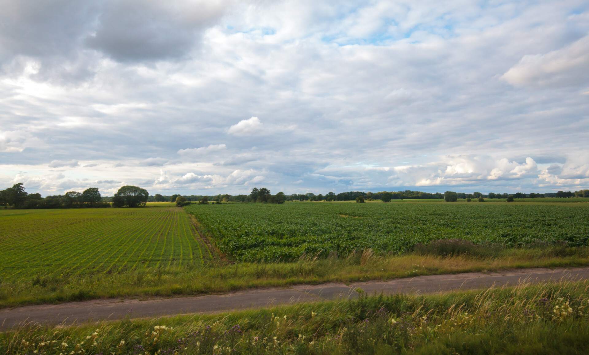 Rural landscape with fields and blue sky