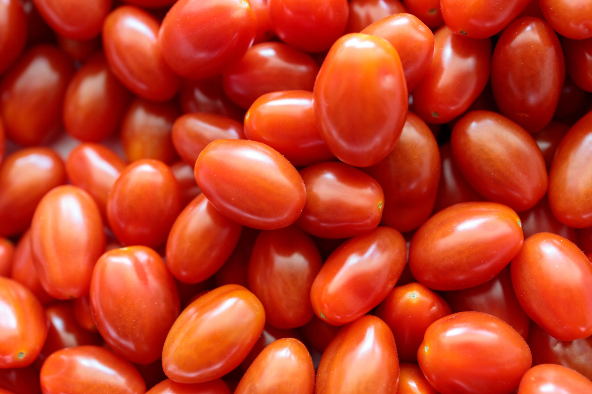 Cherry tomatoes background