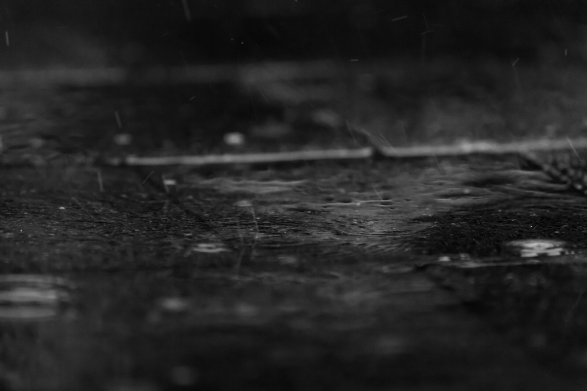 rain puddle black and white