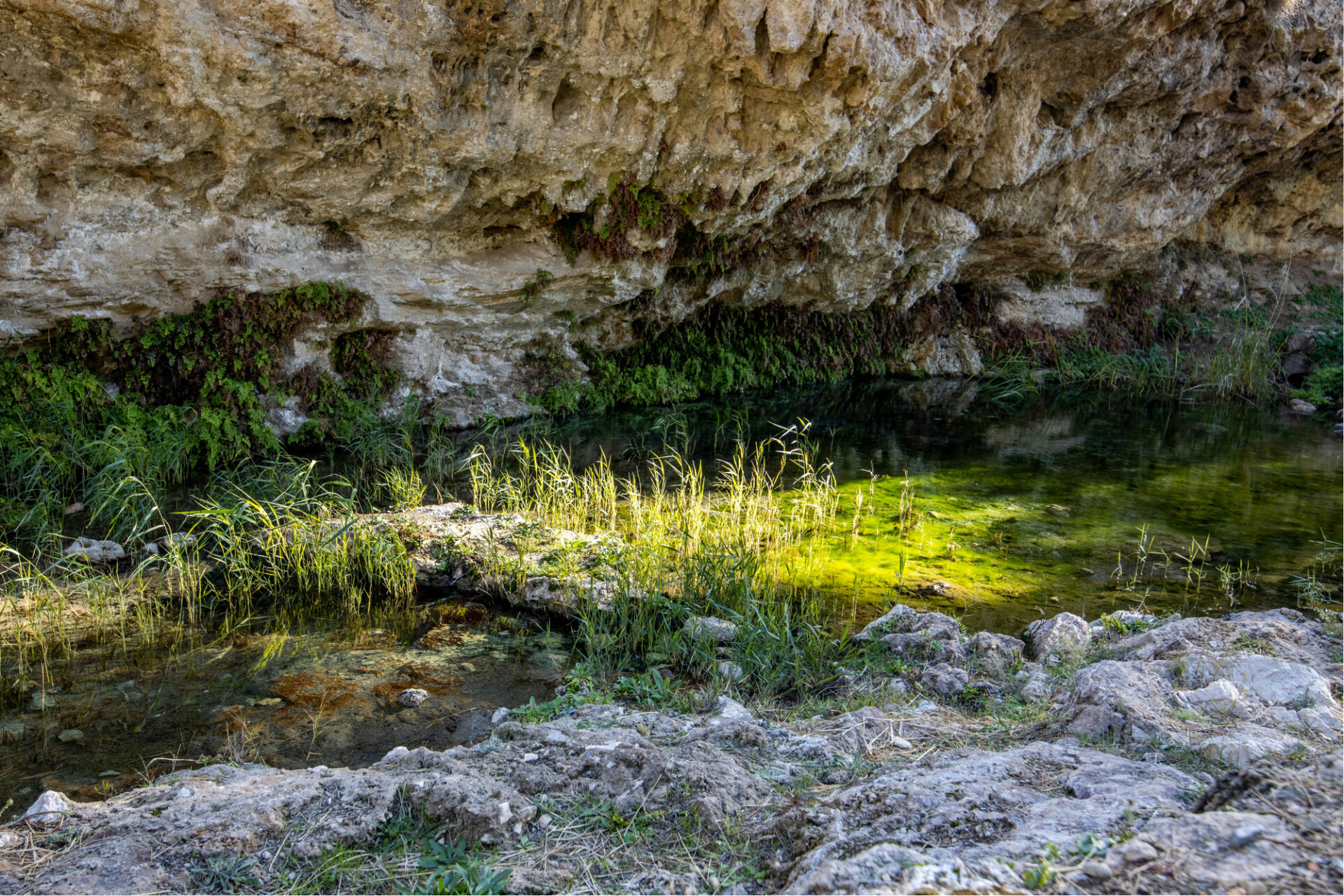 Headwaters in Spain