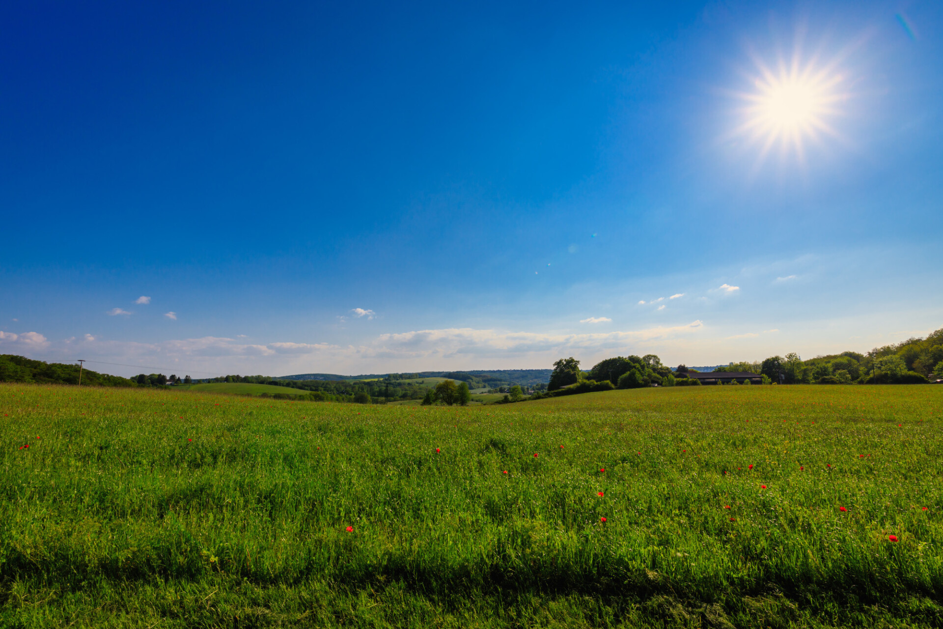 Northern European Rural Landscape