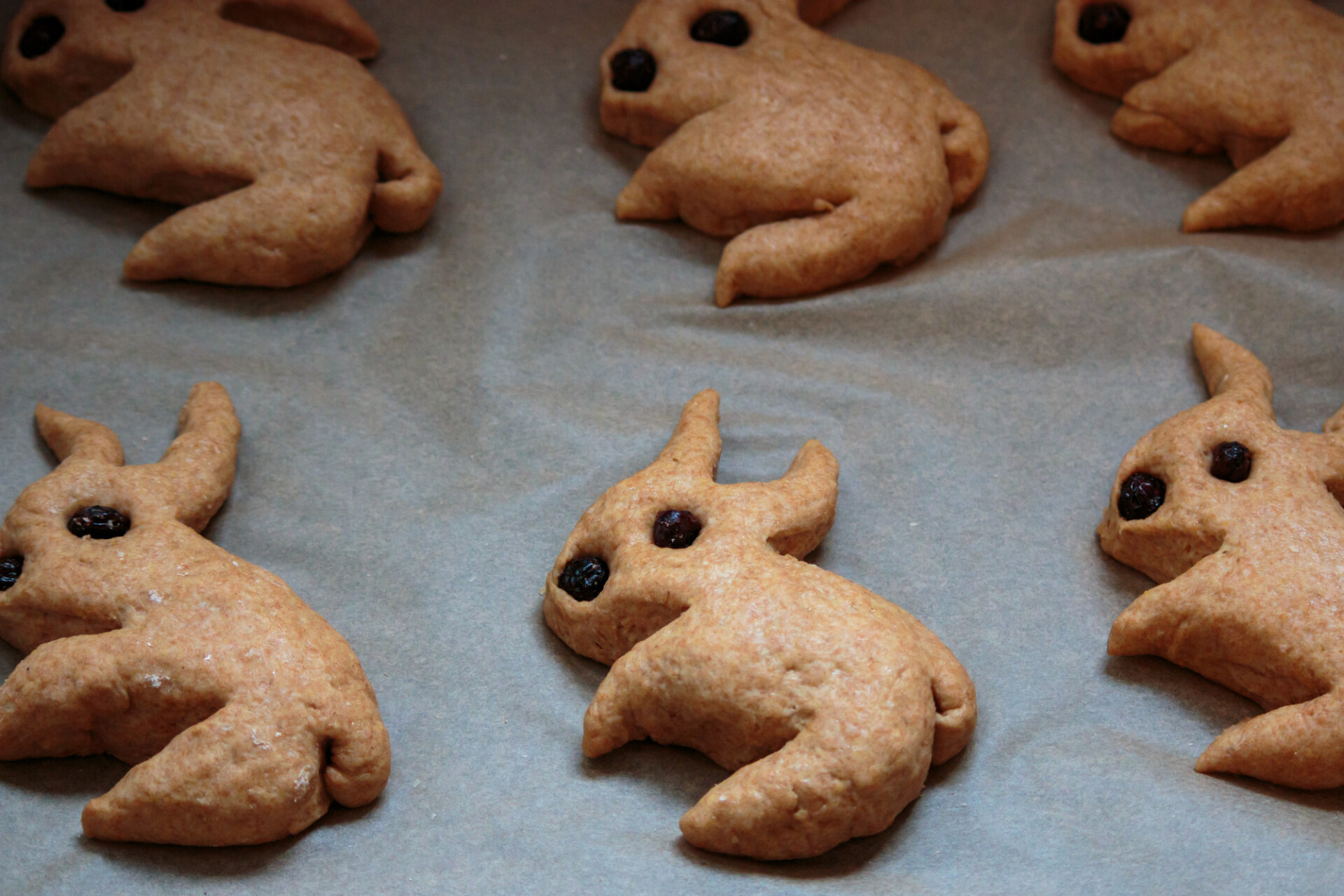 Bunny biscuits