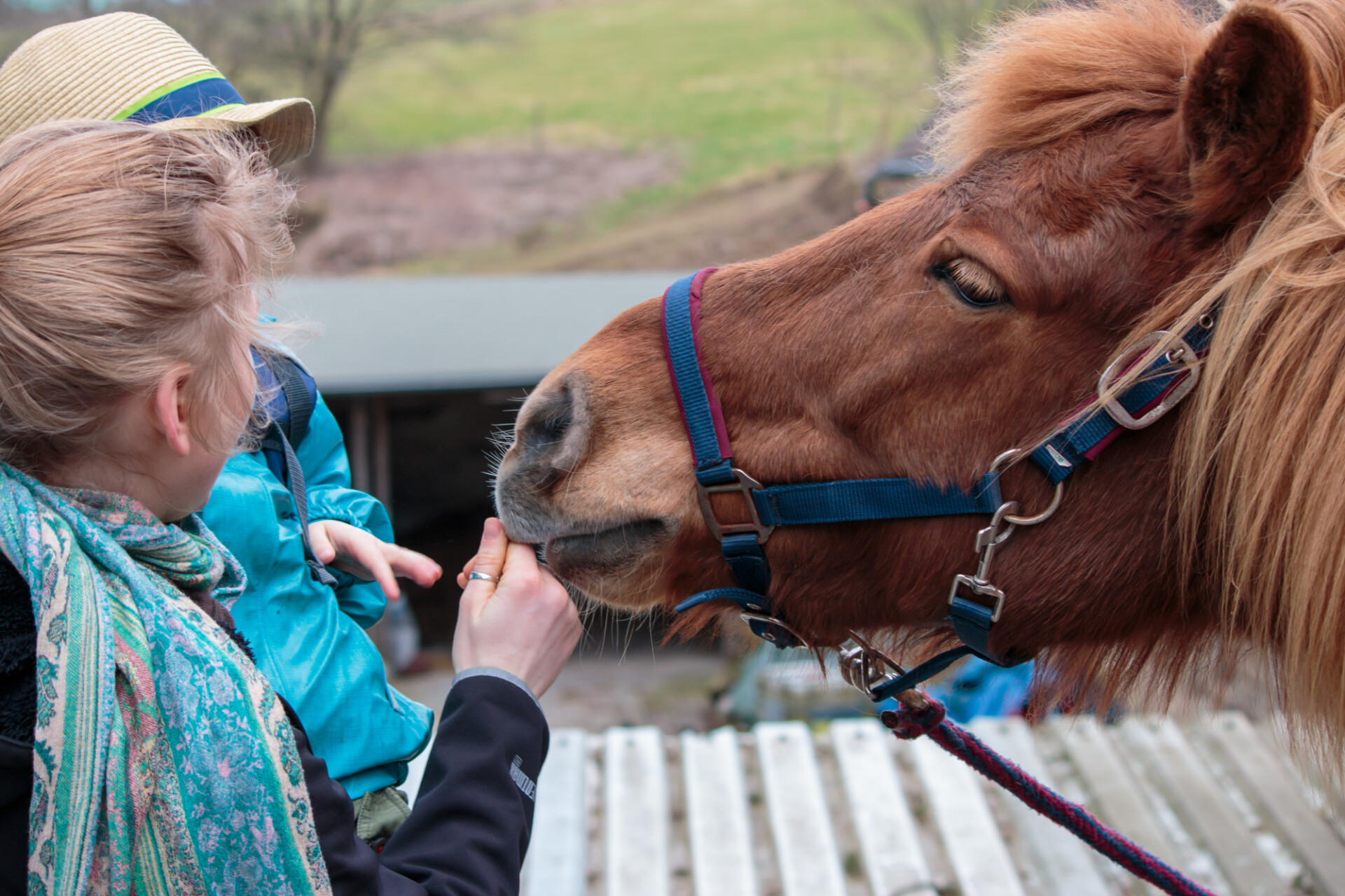 Mother and child stroking a pony