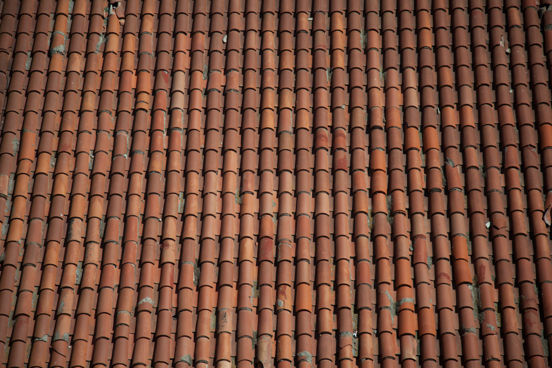 tile roof texture