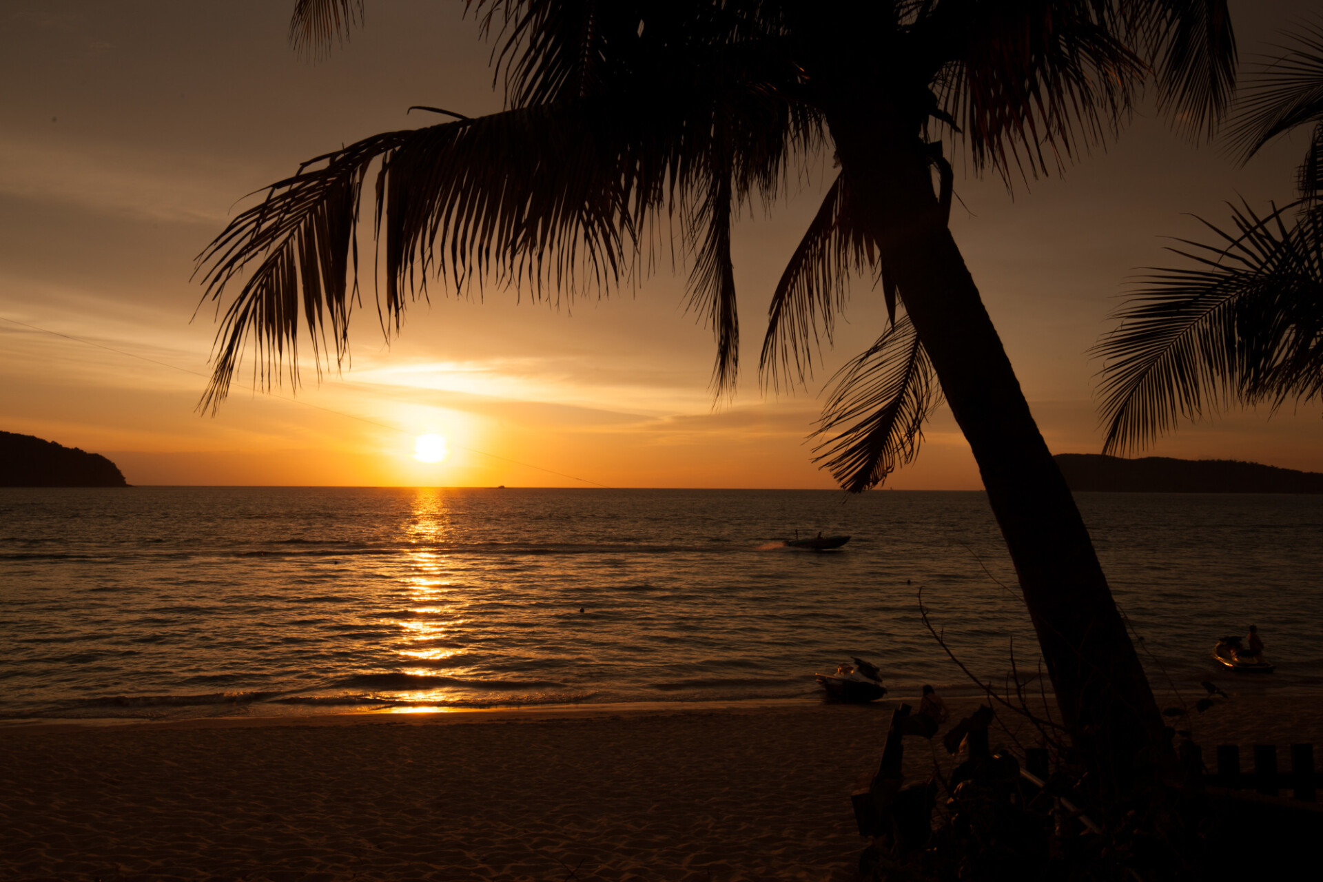 beach with palm