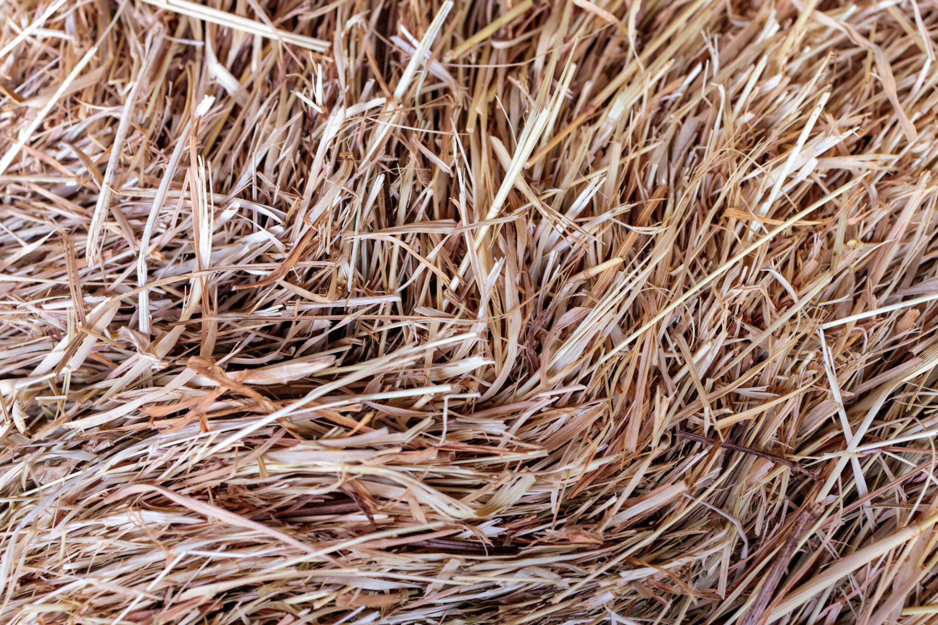 Hay texture