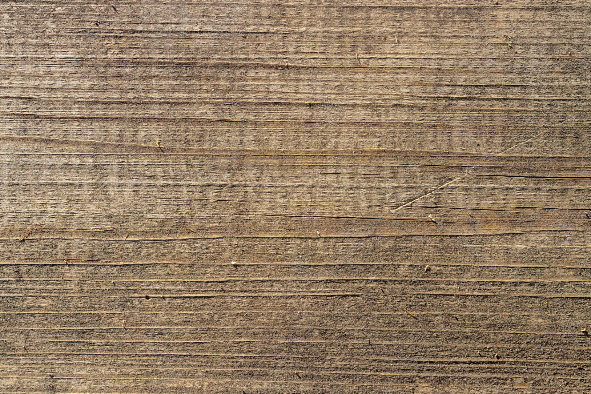 Wood texture