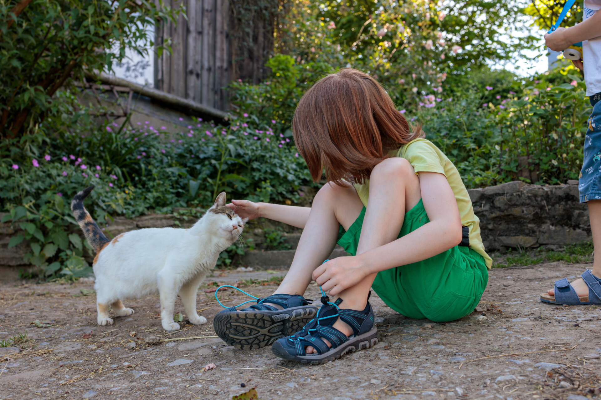 Little boy stroking a cat