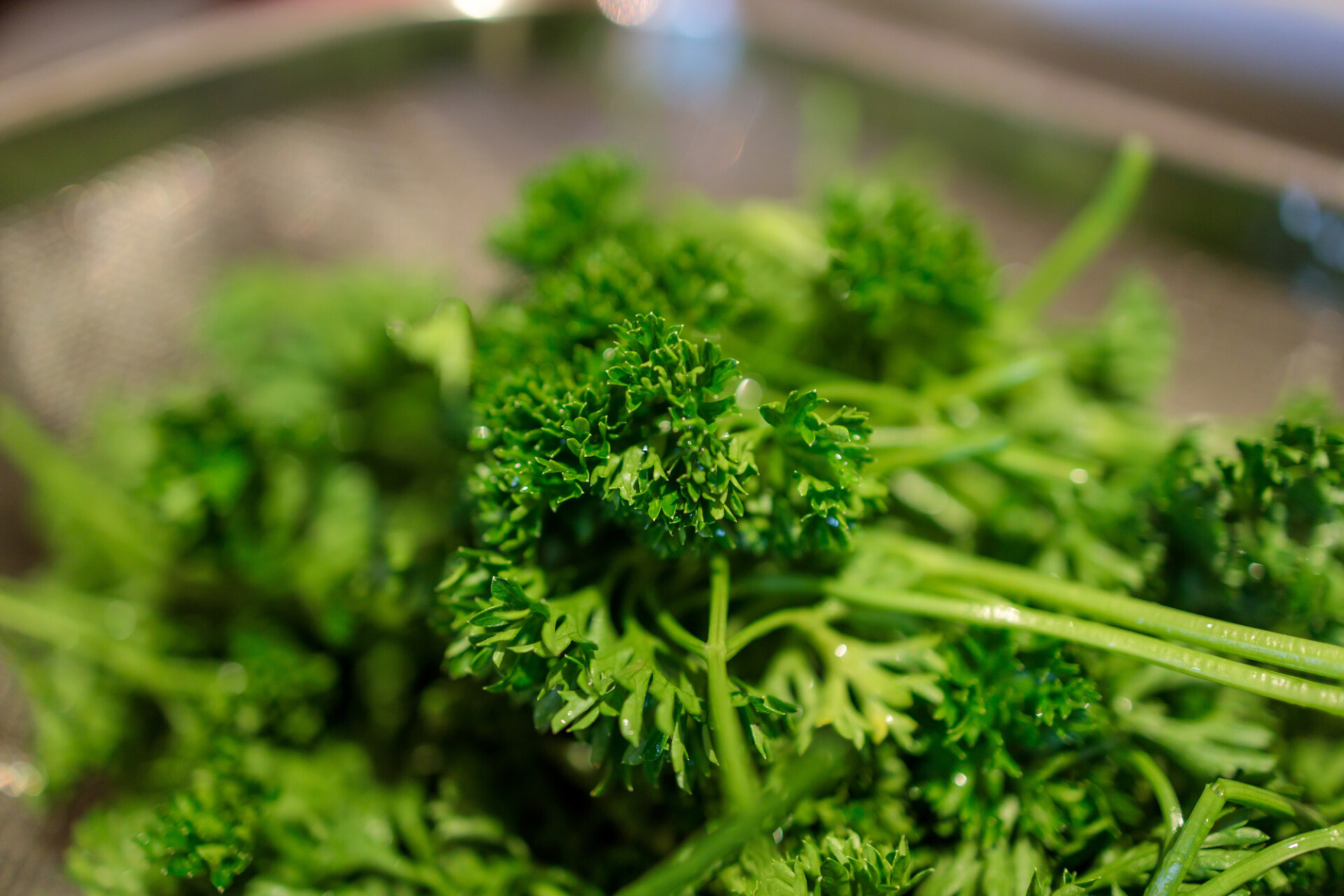 Parsley is washed in a sieve