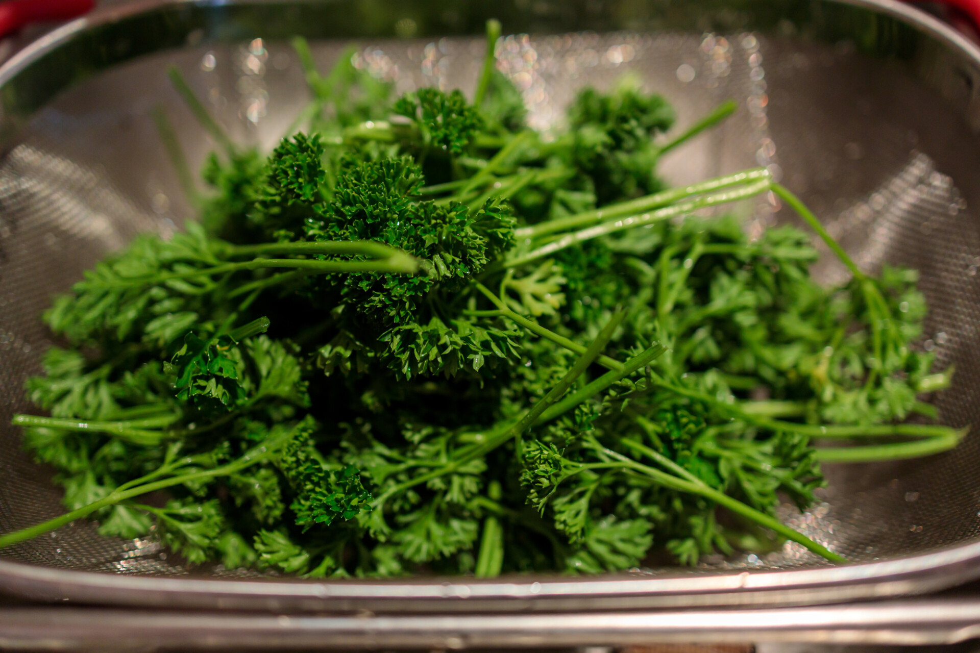 Parsley in a colander in the kitchen