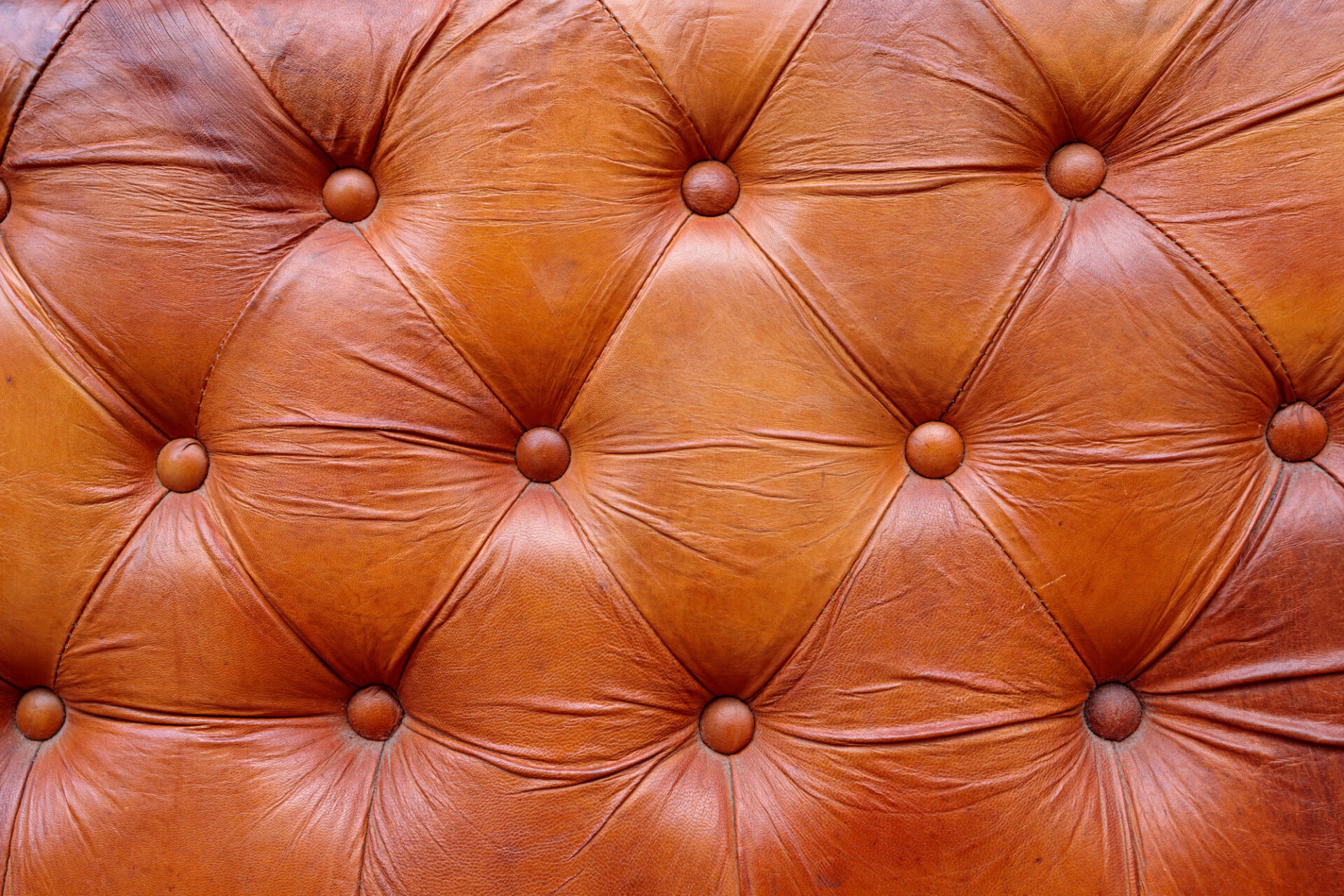 Luxurious leather upholstery texture