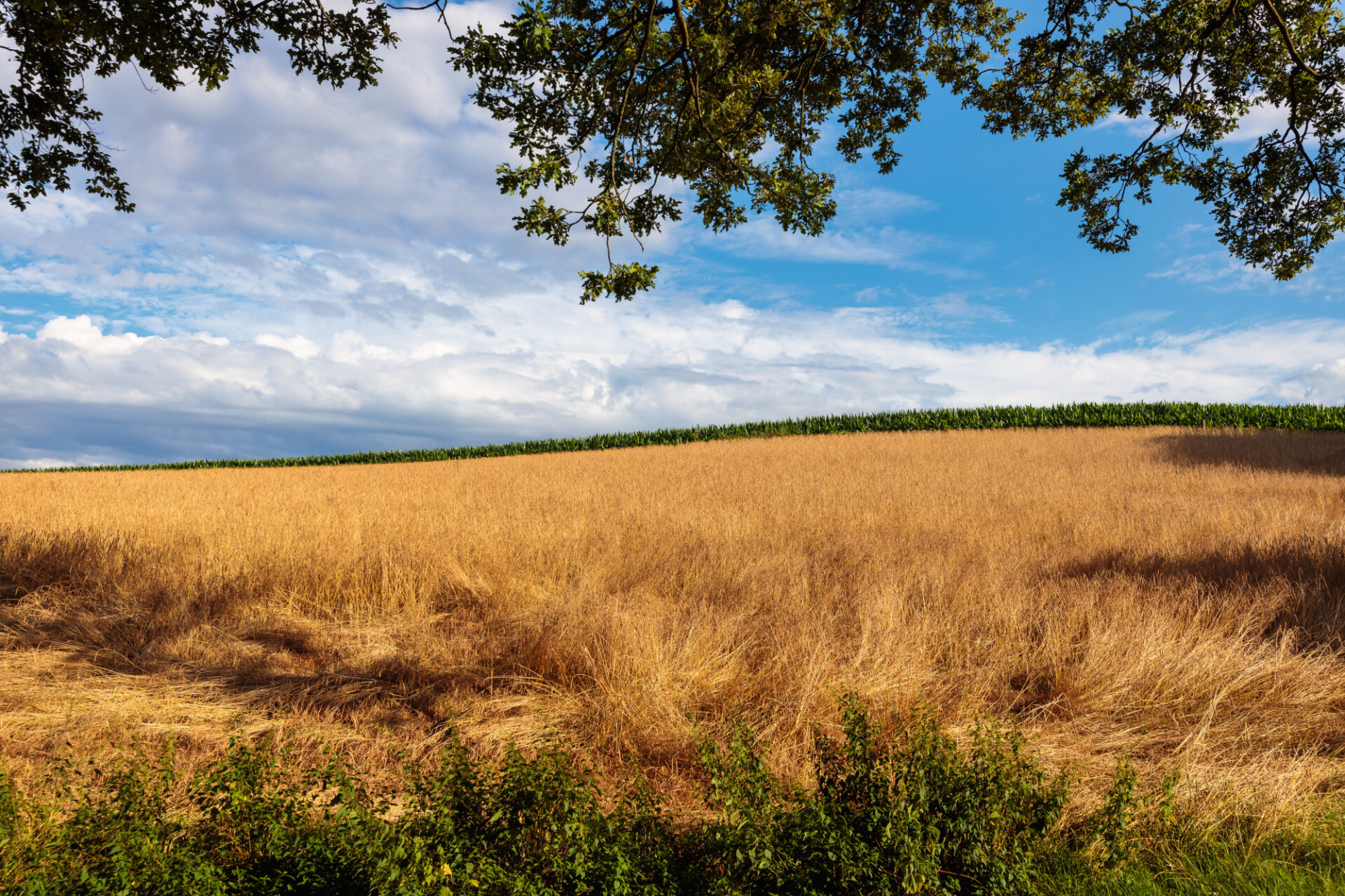 Beautiful rural landscape in europe