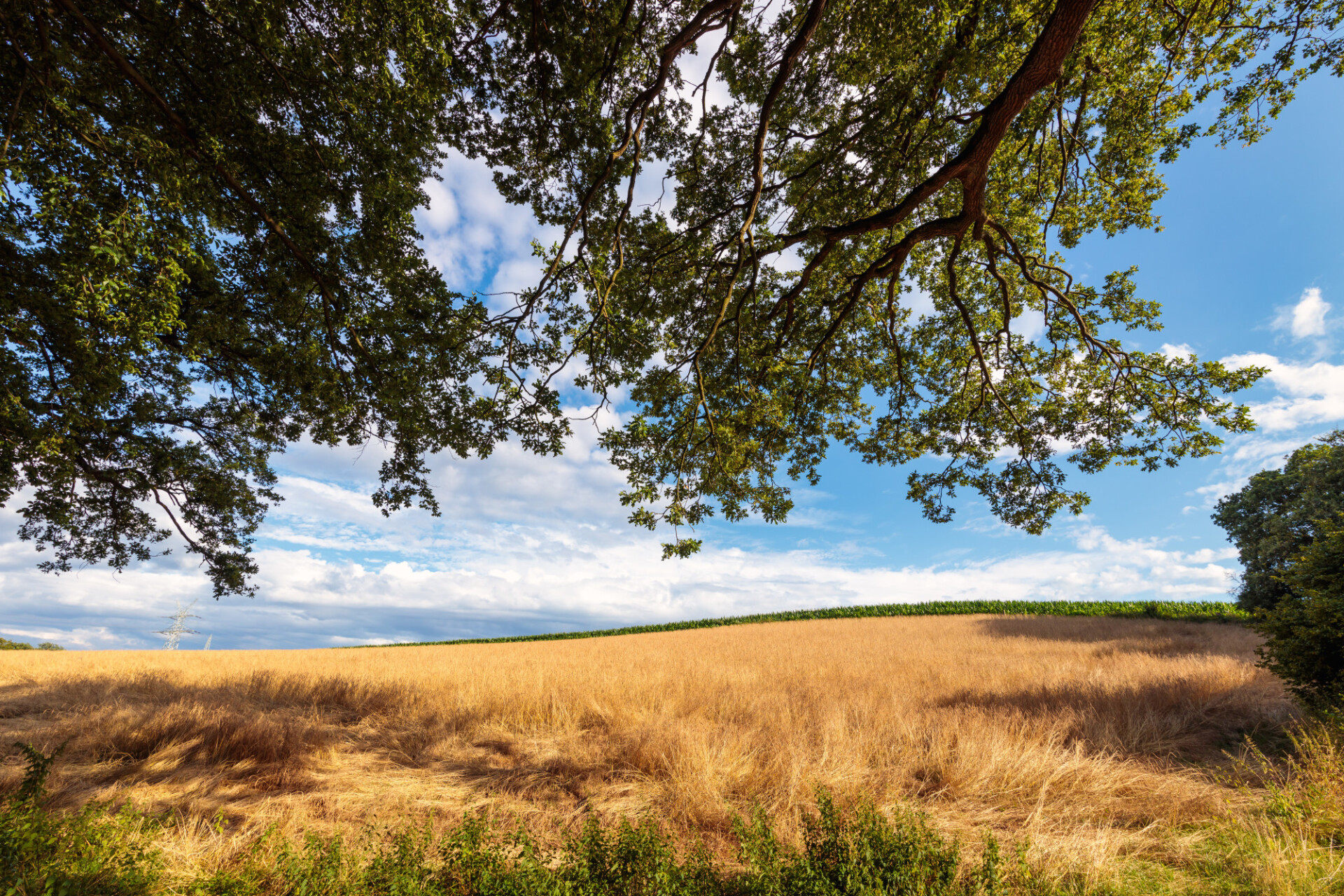 Beautiful rural landscape in northern europe