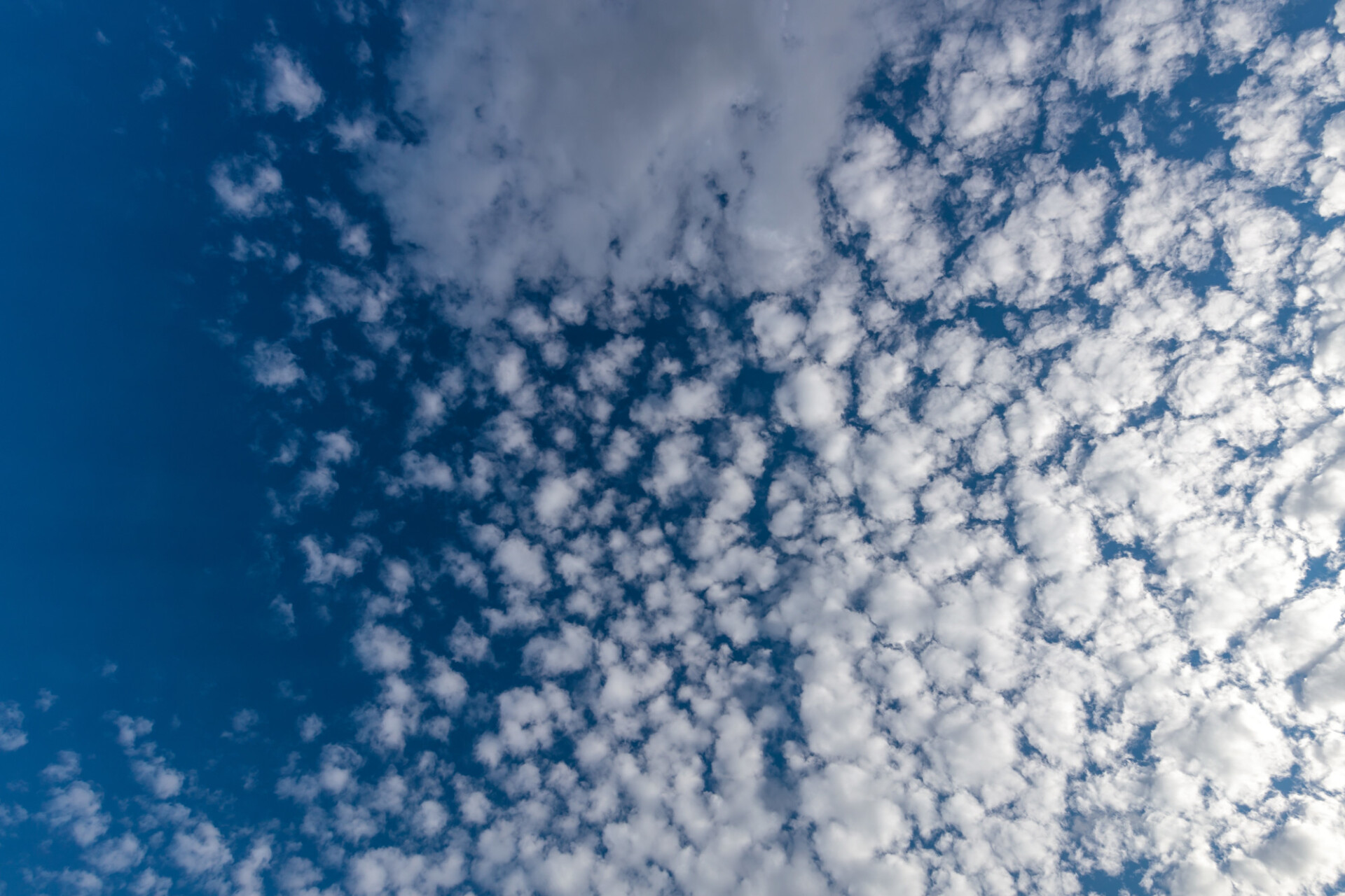 Blue Sky with white clouds for Sky Replacement