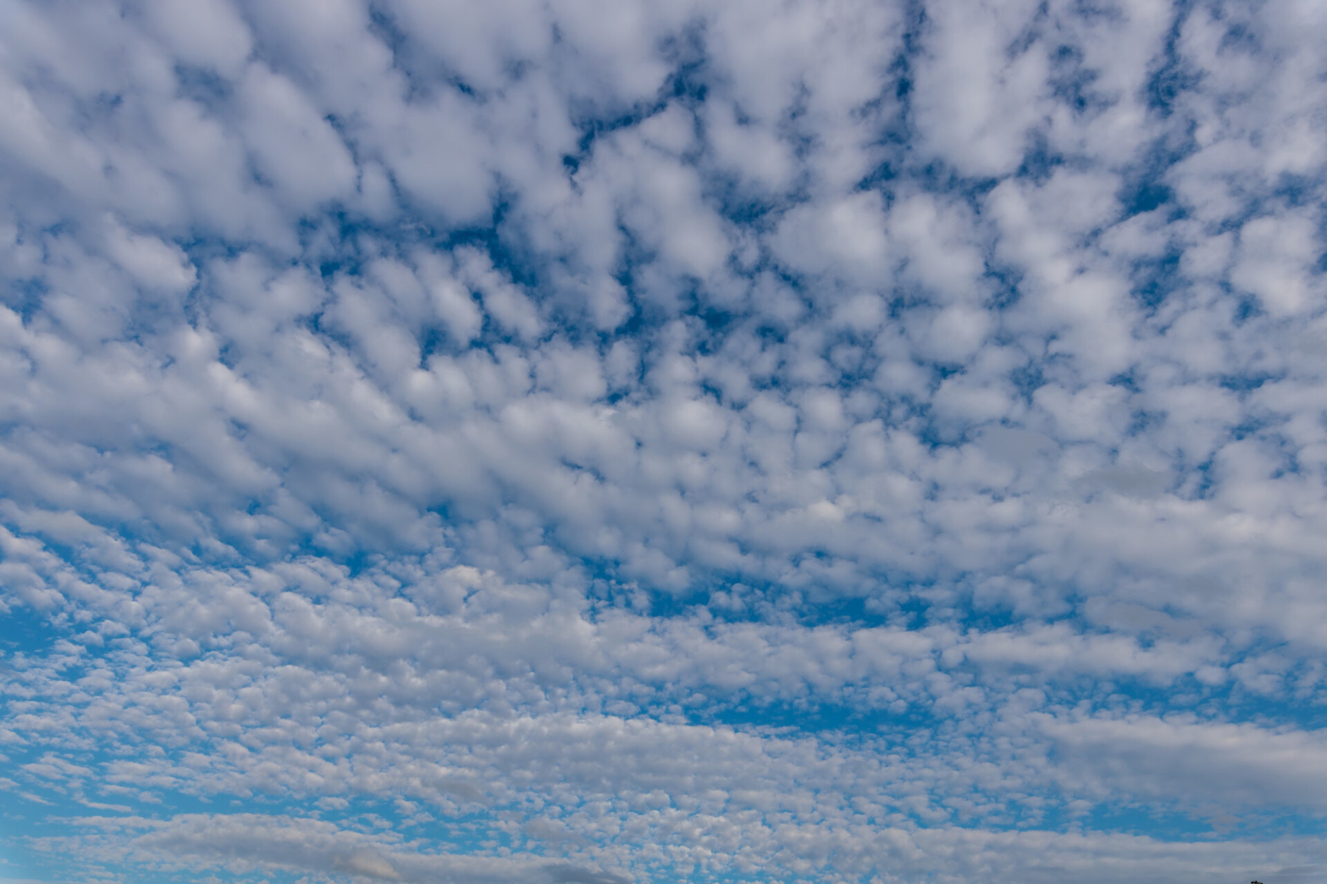 Beautiful cloudy sky