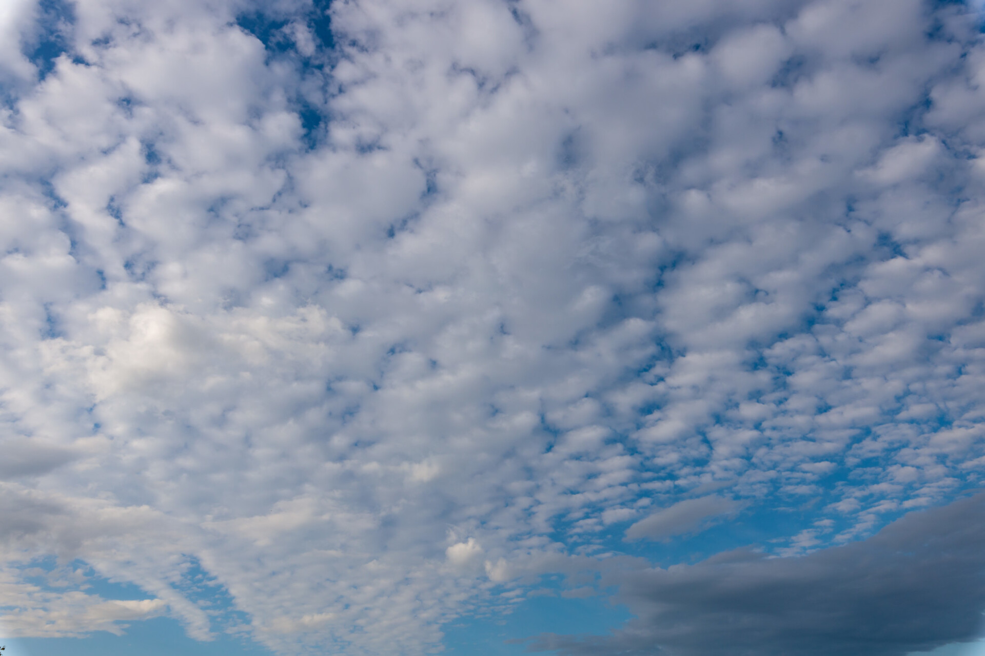 Beautiful carpet of clouds in the sky